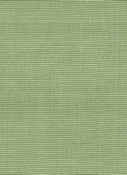 CLIPPER SAGEGRASS DZ44